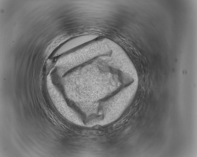 X0000086970242200705141658