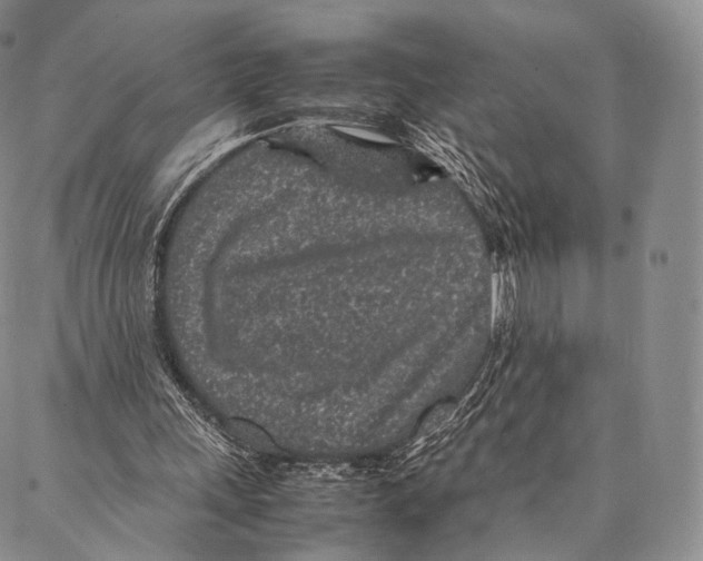 X0000086970243200705141658