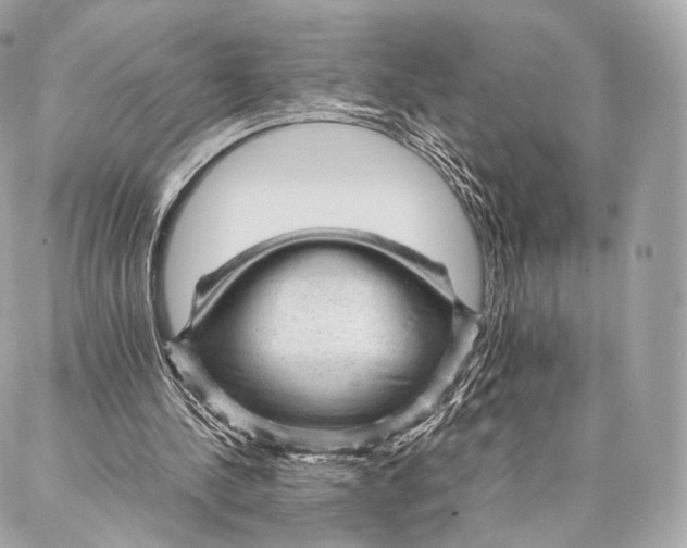 X0000086970244200705141658