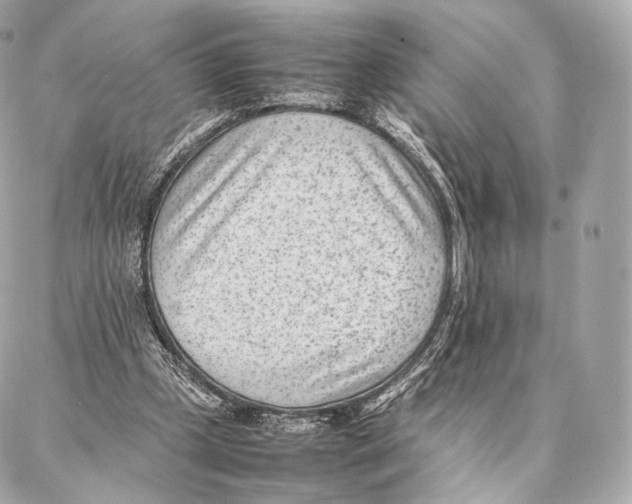 X0000086970249200705141658