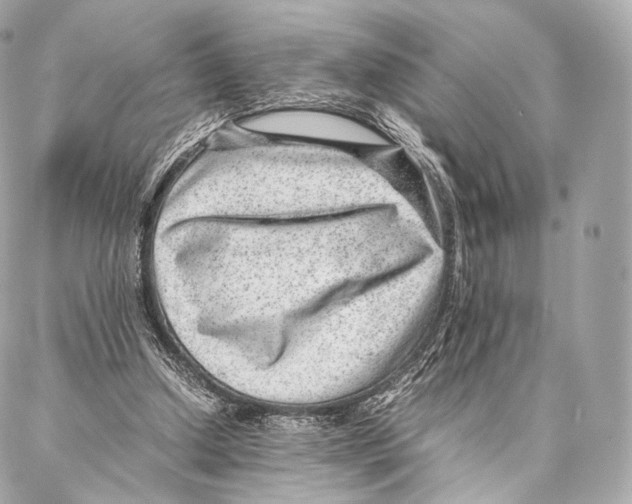 X0000086970250200705141658