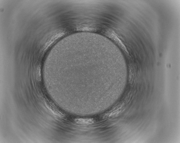 X0000086970251200705141658