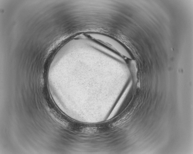 X0000086970252200705141658