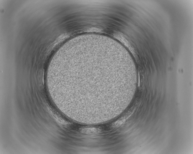 X0000086970253200705141658