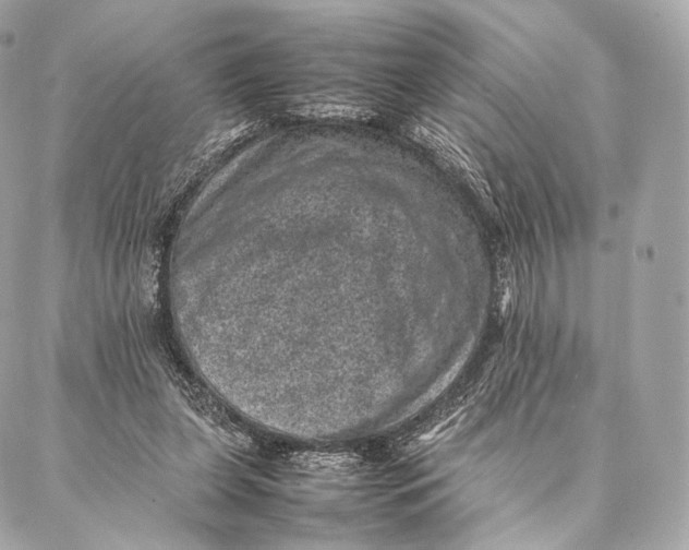 X0000086970255200705141658