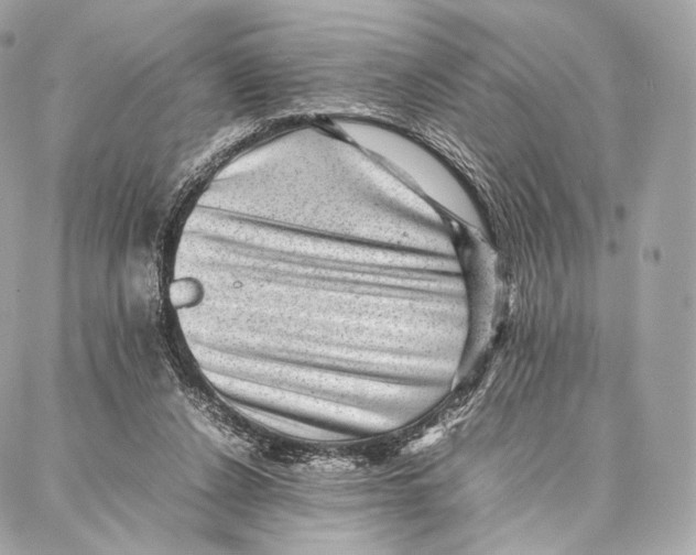 X0000086970256200705141658