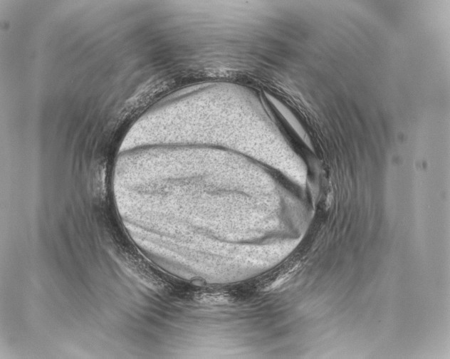 X0000086970262200705141658