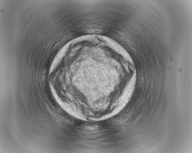 X0000086970263200705141658