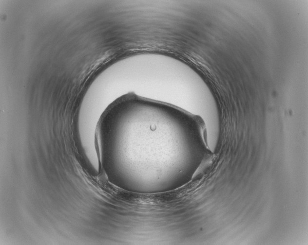 X0000086970264200705141658