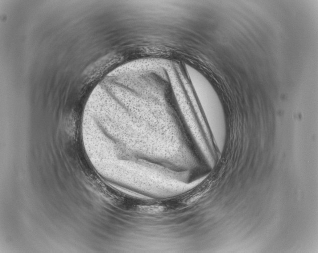 X0000086970266200705141658