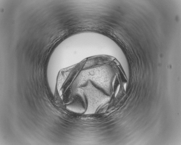 X0000086970268200705141658