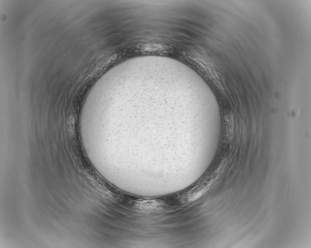 X0000086970269200705141658