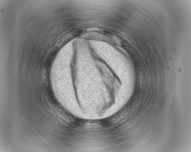 X0000086970270200705141658