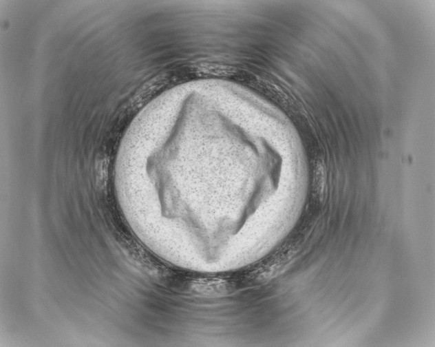 X0000086970271200705141658