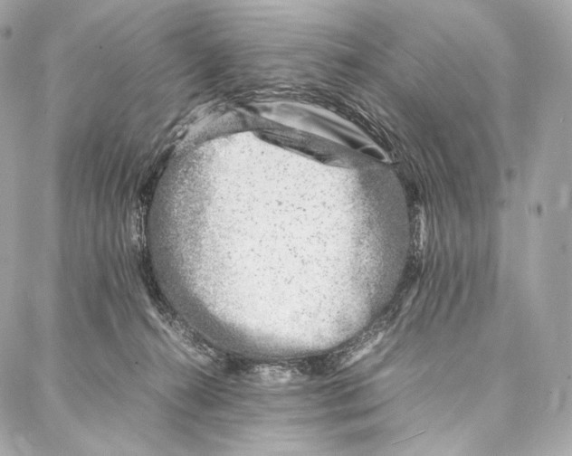 X0000086970272200705141658