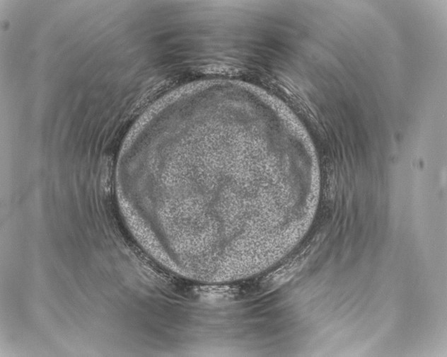 X0000086970273200705141658