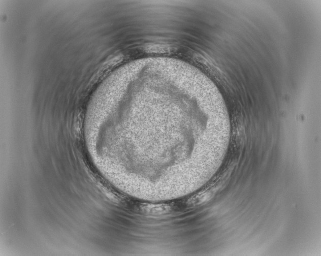 X0000086970277200705141658