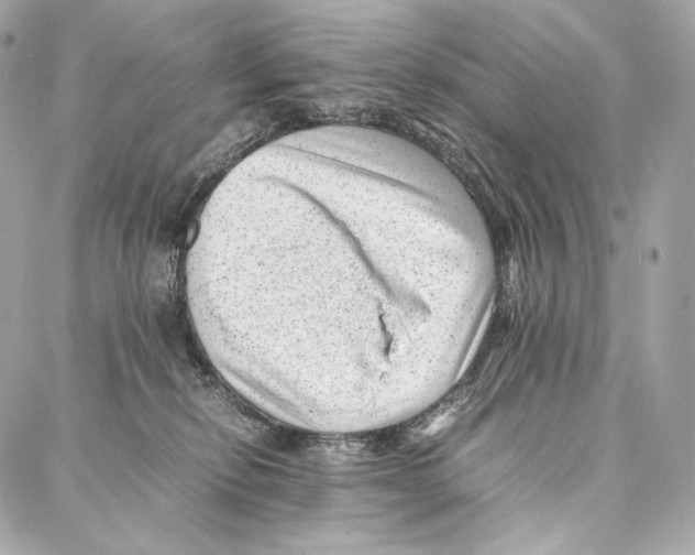 X0000086970278200705141658