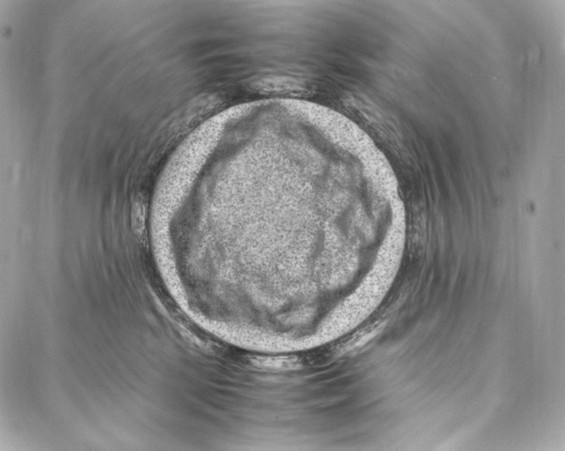 X0000086970281200705141658