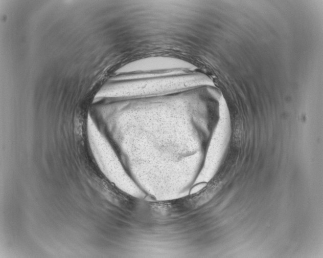 X0000086970282200705141658