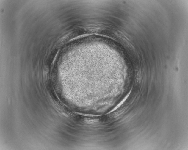 X0000086970283200705141658