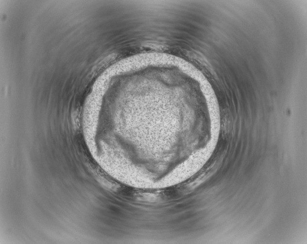 X0000086970285200705141658