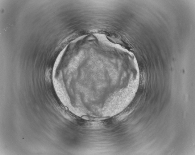 X0000086970286200705141658