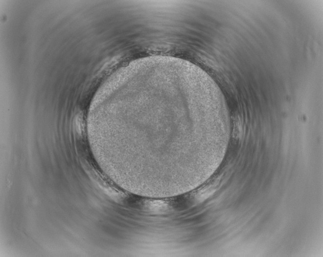 X0000086970287200705141658