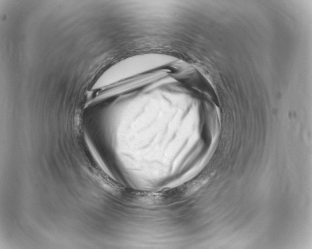 X0000086970288200705141658