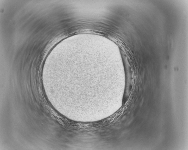 X0000086970289200705141658