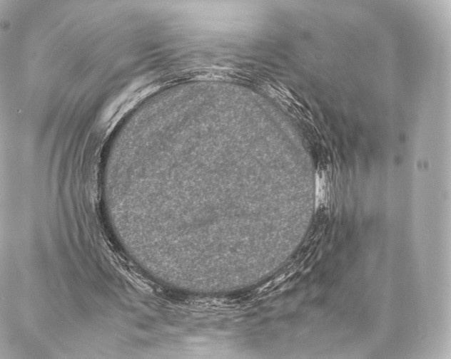 X0000086970291200705141658