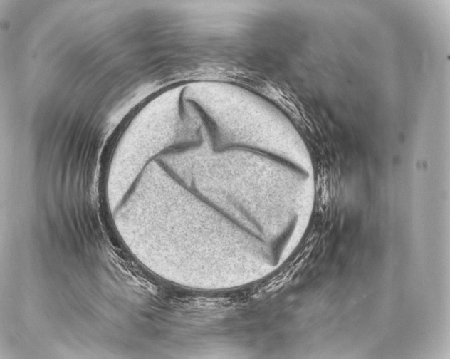 X0000086970292200705141658