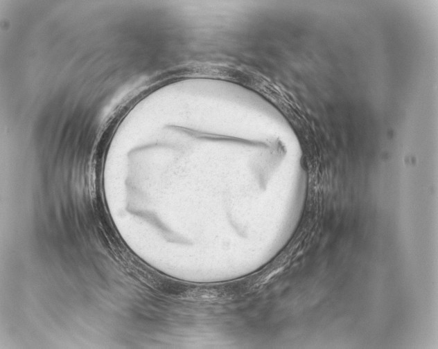 X0000086970294200705141658