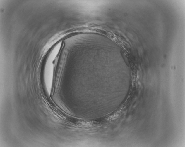 X0000086970295200705141658