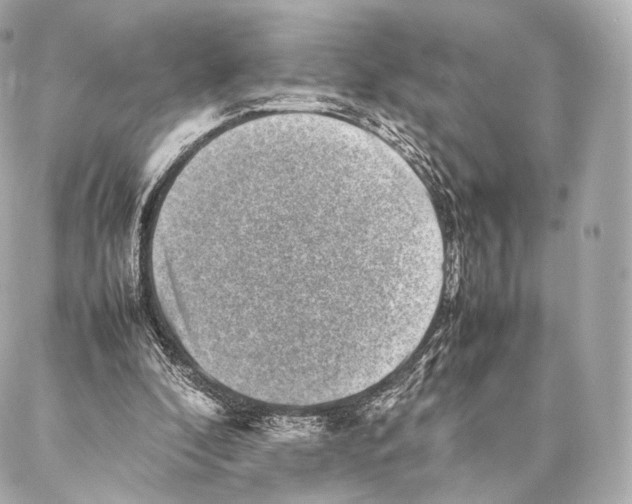 X0000086970296200705141658