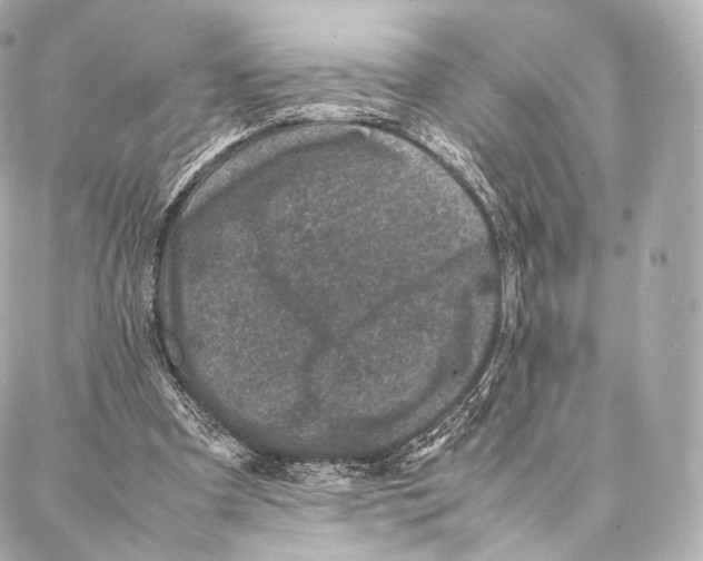 X0000086970297200705141658