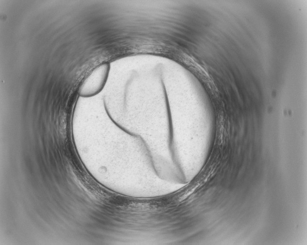 X0000086970298200705141658