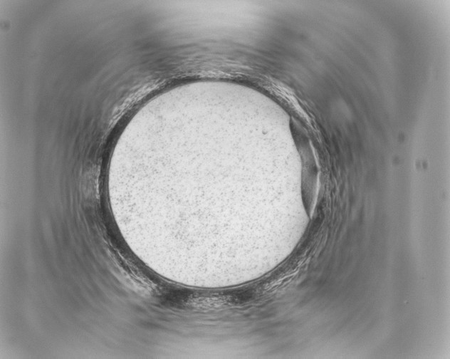 X0000086970299200705141657