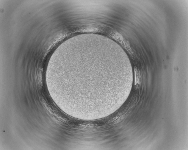 X0000086970300200705141657