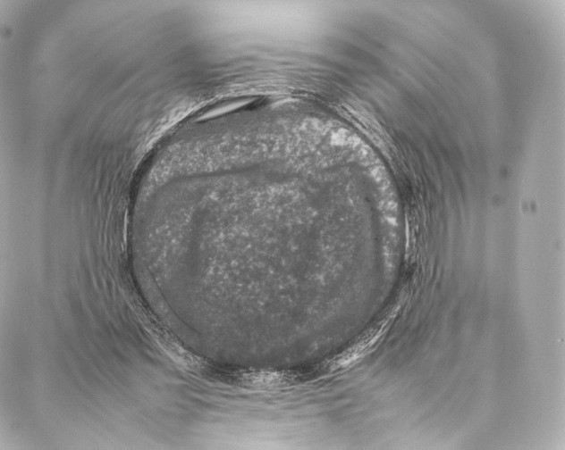 X0000086970301200705141657