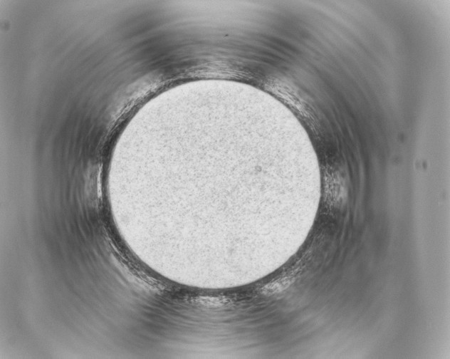 X0000086970302200705141657