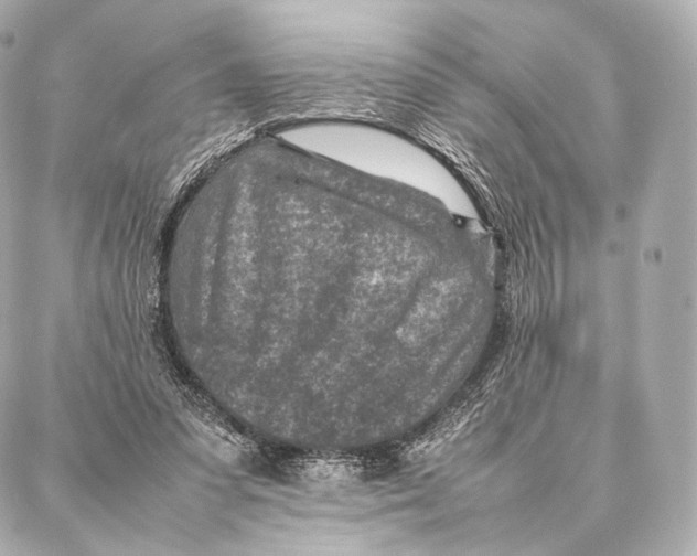 X0000086970303200705141657