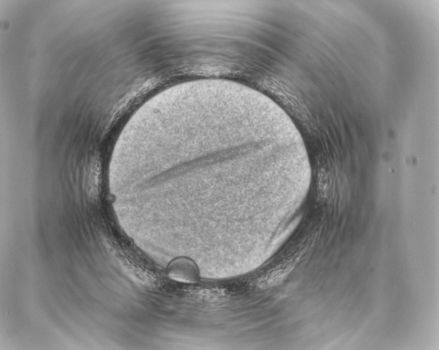 X0000086970304200705141657