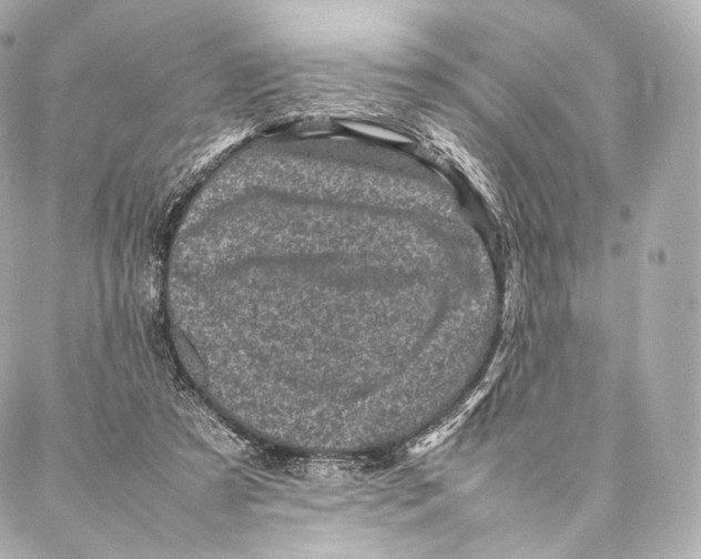 X0000086970305200705141657