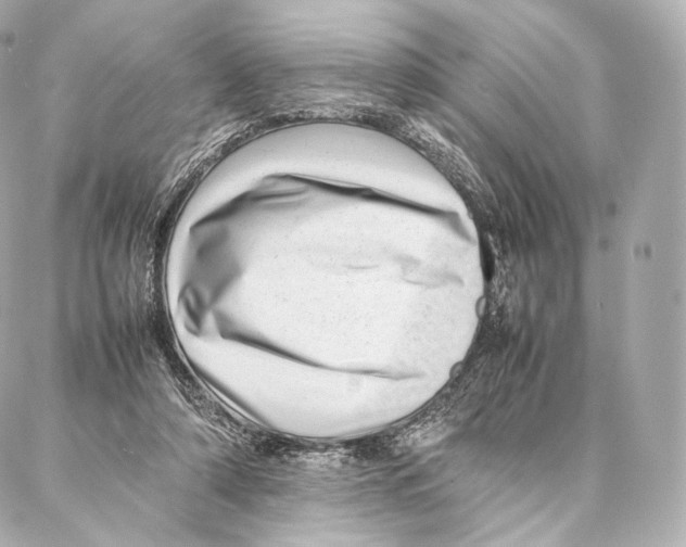 X0000086970306200705141657