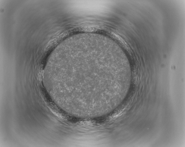 X0000086970307200705141657