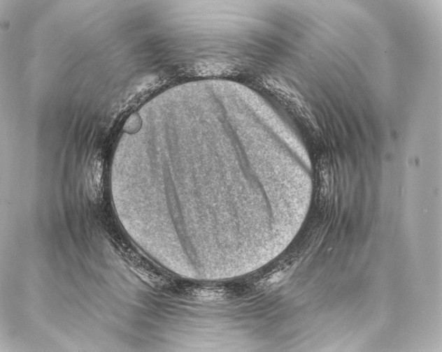 X0000086970308200705141657