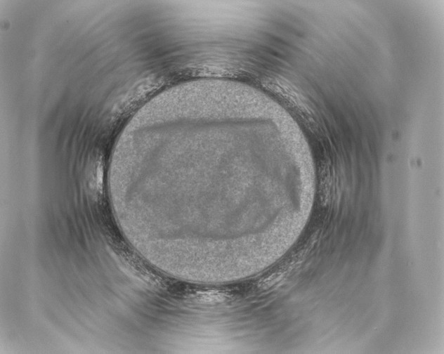 X0000086970310200705141657