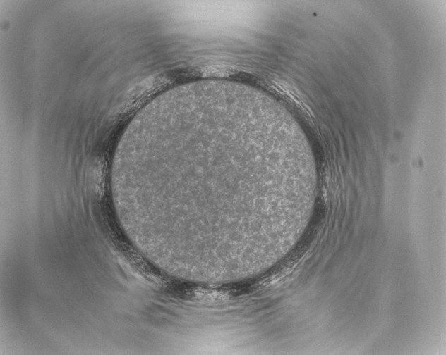 X0000086970311200705141657