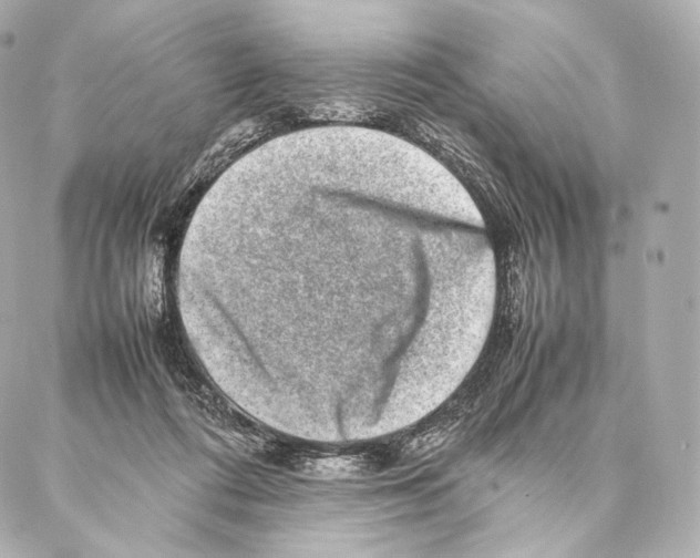 X0000086970312200705141657